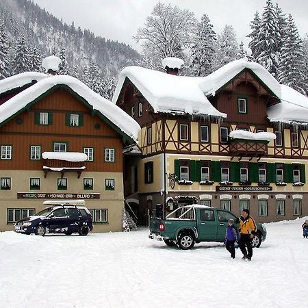 Jugendgaestehaus Gosauschmied Exteriör bild